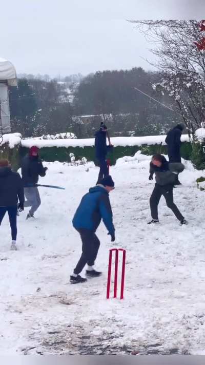 Hit and run in the snow