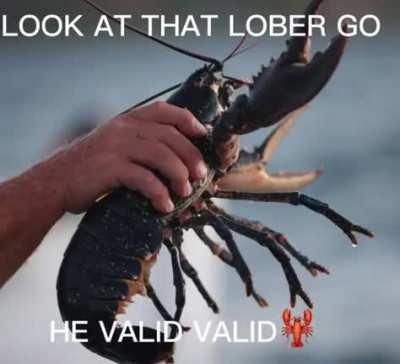 BEST DAY OF THE WEEK! IT’S FLOPPA FRIDAY!