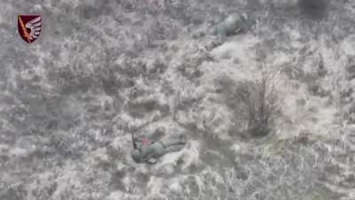 Drone Operators of the 79th Air Assault Brigade of Ukraine eliminate Russian infantry near Kurakhiv, Pokrovsk direction. Donetsk region. 20th December 2024