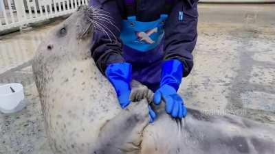 Clingy boi @aguhiyori