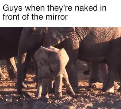 Helicockter ready for liftoff!