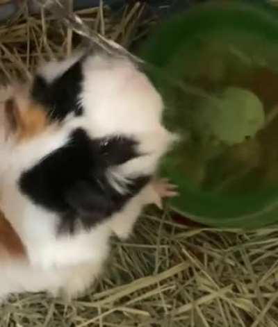 Dinkin straight out the bottle