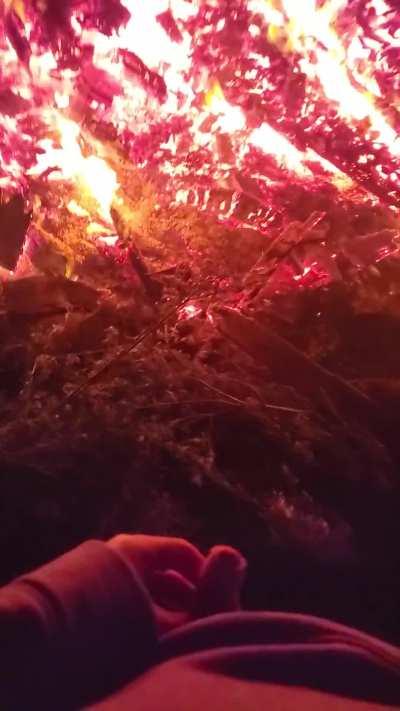 peeing into a bonfire