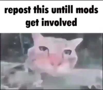 Got told to do this again