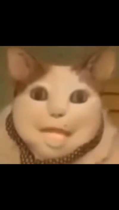 Morangos_Derretidos_ - Video #4571