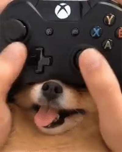 Extra controller stick