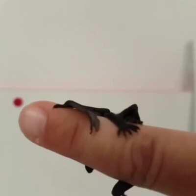 C'mon man, don't leave a brother hangin'