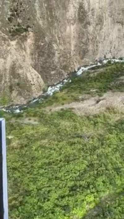 I did a thing. I'll never do it again.