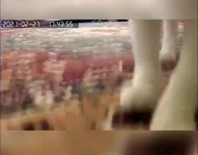 Just observing the new camera my mom bought