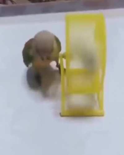 Vc não quer treinar hoje, mas seu 'personal trainer' é super rígido.