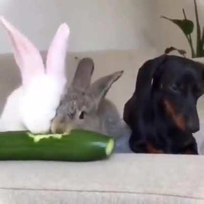 When your completely uncomfortable