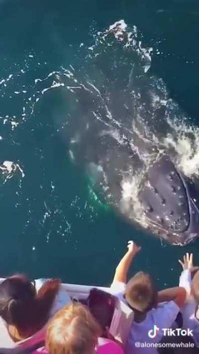 I really just can’t do the ocean...anything can come from anywhere even from above something can jump up and dive right back in while eating u....