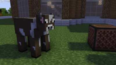 Espero que les guste