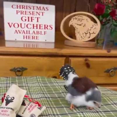 You can't tell me that's not a fucking robot. 🤖