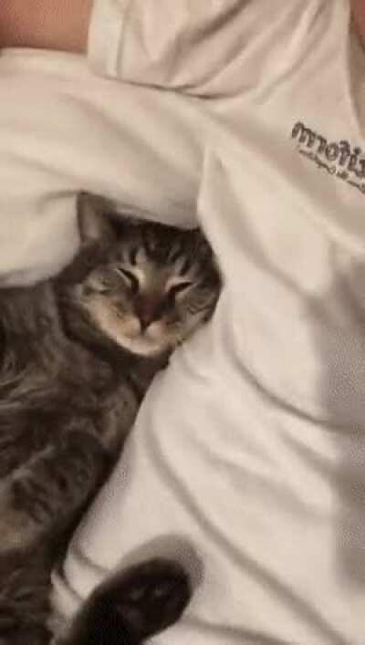 He woke up and chose violence