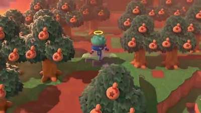 Happy Holidank! Appreciate the trees you got and plant the ones you want. Whether they be Halle Berrys or hallelujahs..