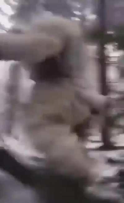 Life is My Singing Monsters