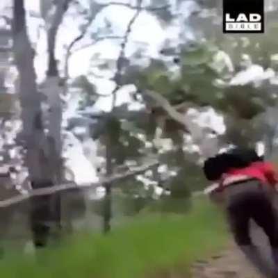 Trying to make sure that it won't hurt anyone