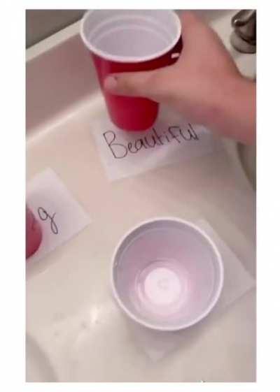 Today’s Menu - Making my mom