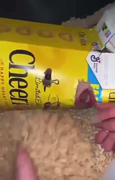 that's actually creepy