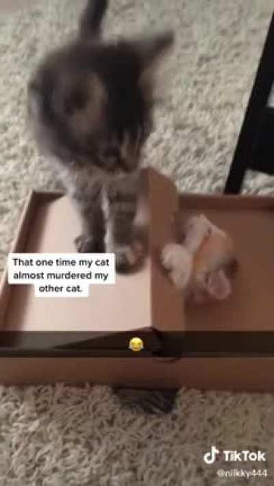 A new tipe of guillotine?