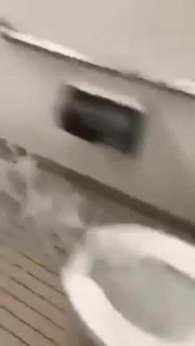 Toilet had too much to drink