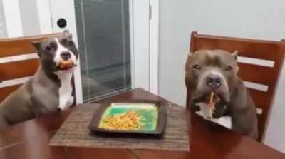 To look unsuspicious