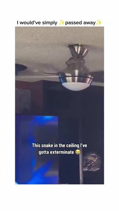 When nature drops in 