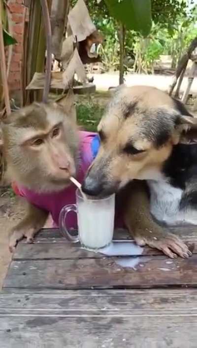 ZyadaKuchNai bas do dost