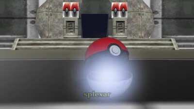 Unusual day at thr arena