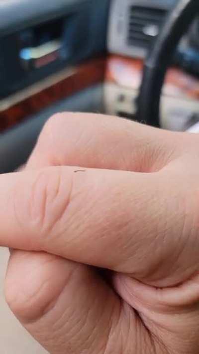 THIS IS NOT A DRILL!