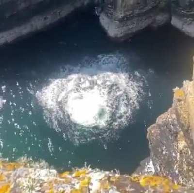 Peace was never an option