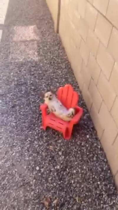 Whats cookin good lookin?