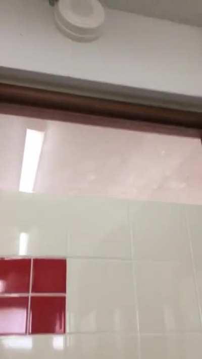 This was my school bell for 10 weeks