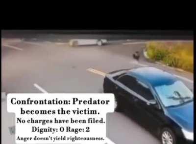 Road Rage Escalation