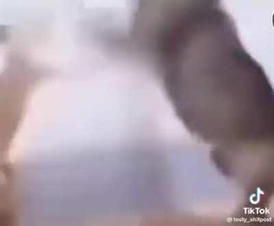 There lowkey good at dancing