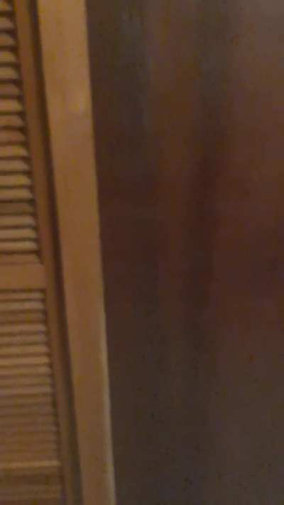 I love my ENA DBBQ plush