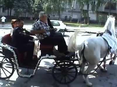 Riding on a horse-drawn carriage on wedding day wasn't the best idea