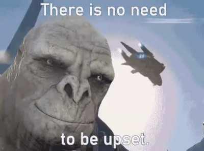 There is no need to be upset caw caw