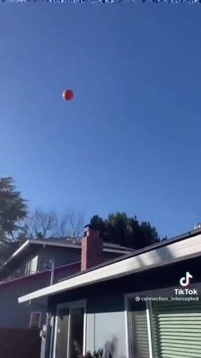 I’ve officially list my mind