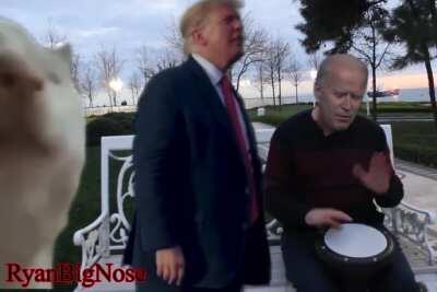 Biden tocando Levan Polkka, Trump dançando no ritmo e gato brisando pra alívio cômico da sua noite