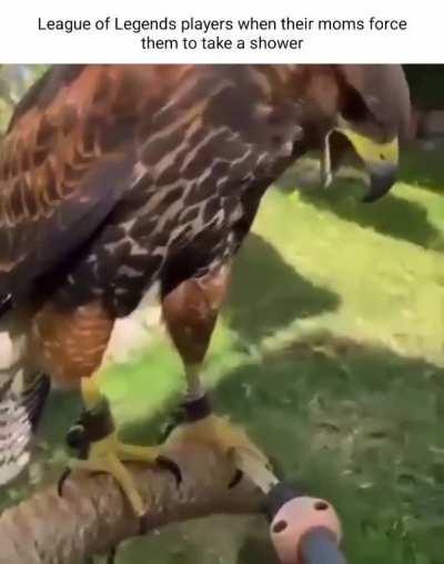 the smellier the league player, the higher the rank