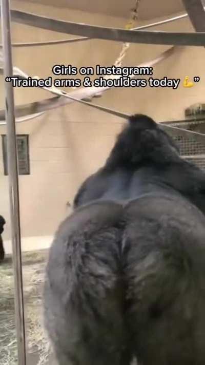 Happy International Women's Day