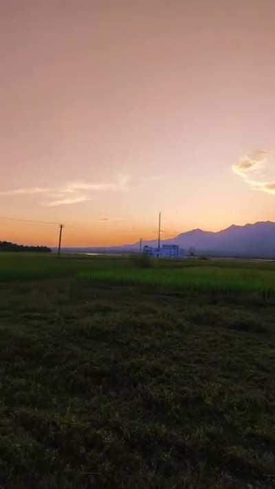 Somewhere in North Bengal