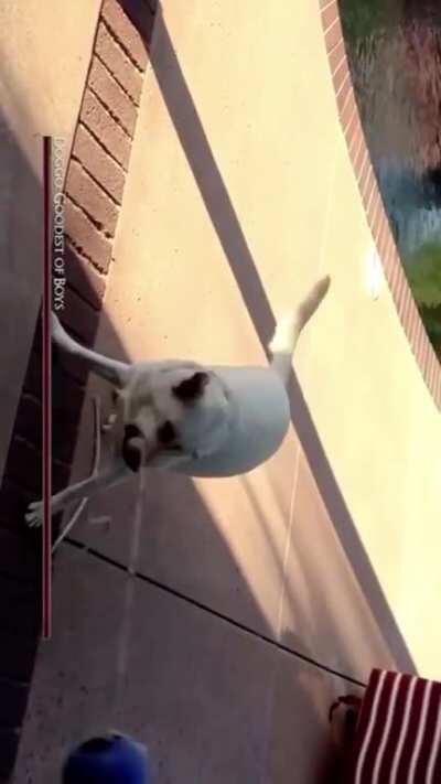 Found this hidden in the Microsoft store.