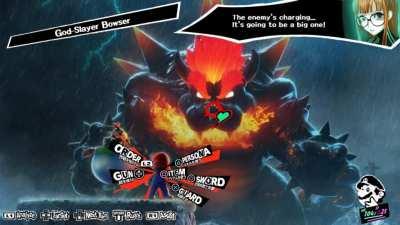 shadow bowser fight?