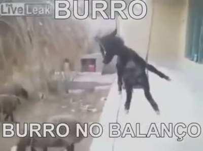 Essa imagem é proibida em 300 países