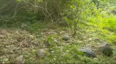 🔥The scariest 5 seconds this park ranger will ever experience