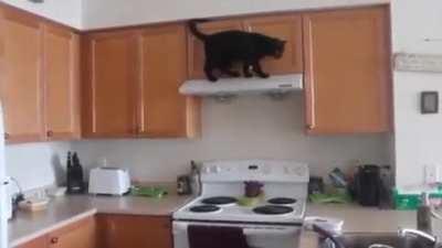 My wife made a little compilation of our naughty boy