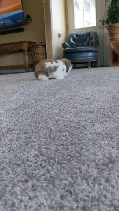 !Boing. that is all.